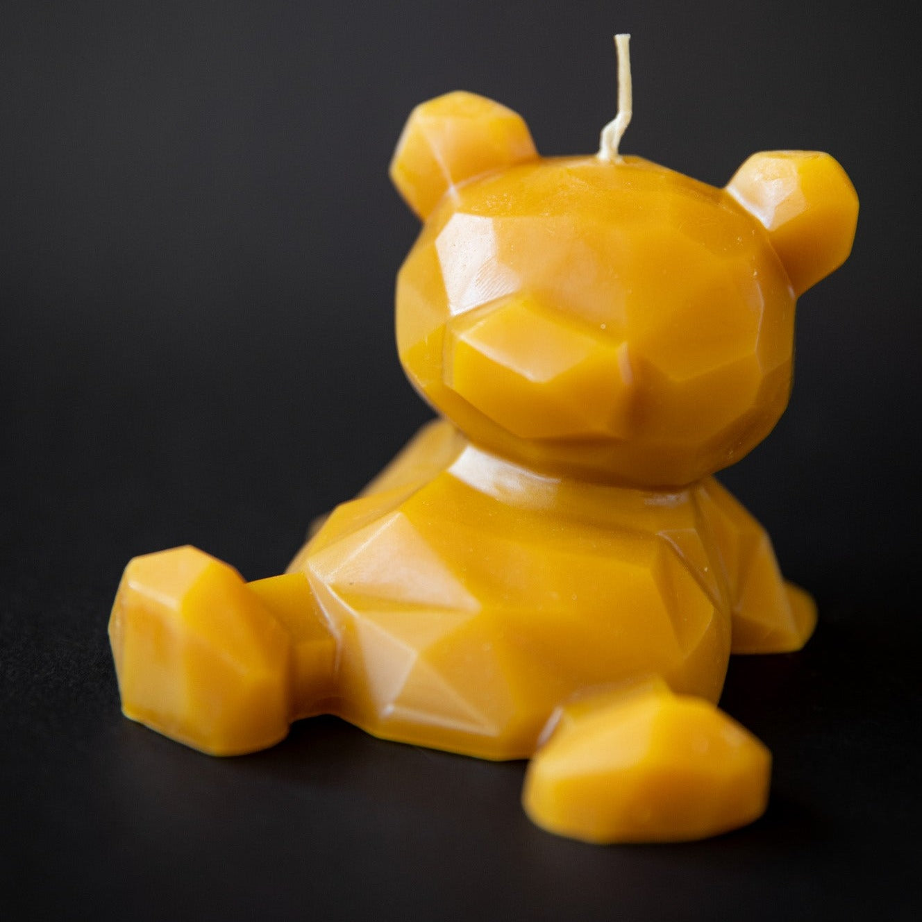 Resting Bear