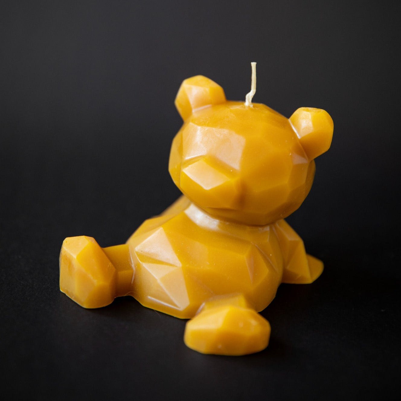 Resting Bear